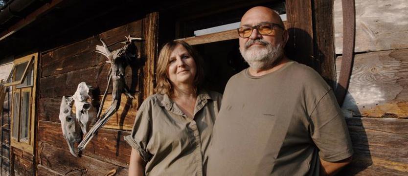 Wolność i okno na świat