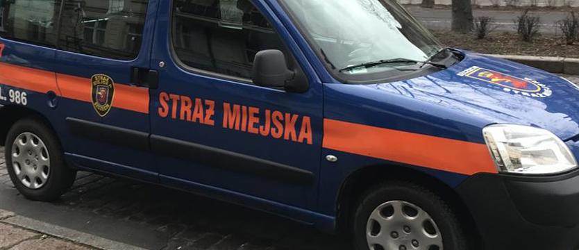 Czujna straż miejska. Codzienna rutyna czy większa akcja?