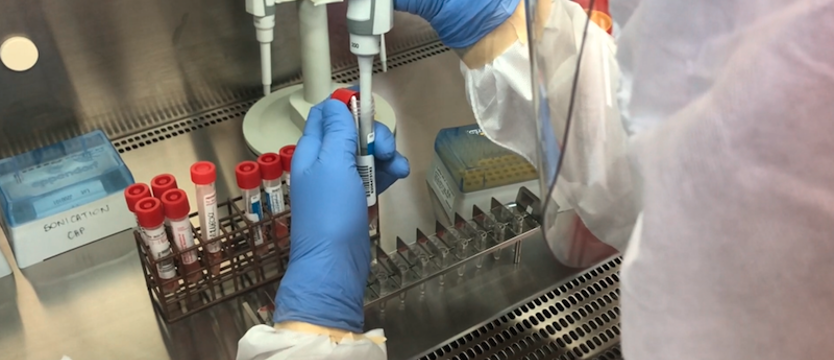 W regionie 42 nowe przypadki koronawirusa. Najwięcej w Szczecinie