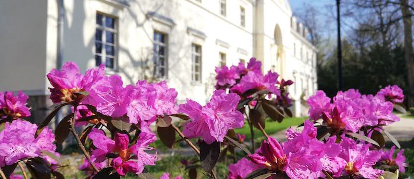 Wojewoda: Uchwała o likwidacji ogrodu dendrologicznego w Przelewicach niezgodna z prawem