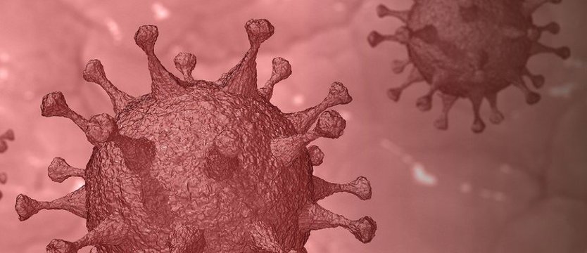 W niedzielę ponad 8,5 tys. nowych zakażeń koronawirusem. Zmarło 49 osób