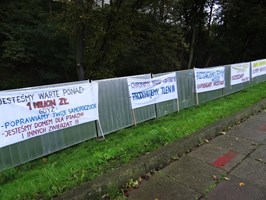 Protest w obronie drzew na skarpie Zamku Książąt Pomorskich