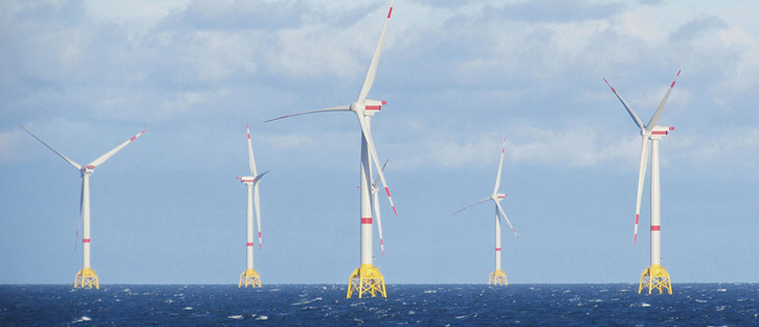 Morskie farmy impulsem dla biznesu