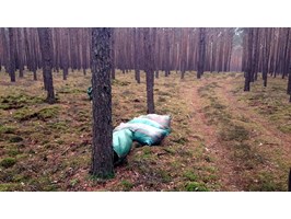 Chcieli ukraść 16 worków mchu z lasu w Nadleśnictwie Skwierzyna