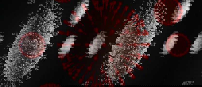 W kraju w poniedziałek ponad 15,5 tysiąca nowych zakażeń koronawirusem