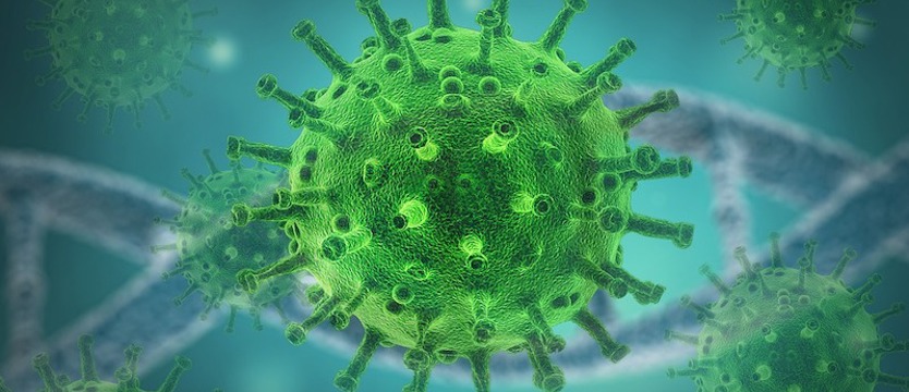 We wtorek w kraju ponad 19 tysięcy zakażeń koronawirusem. Zmarło 227 osób