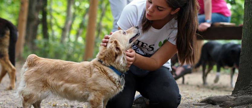 Żabcia: w małym sercu wielki ból (film)