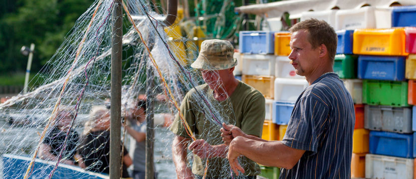 Węgorze... nie do złowienia