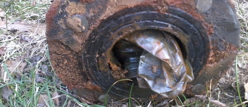 Znalezisko w hydrancie