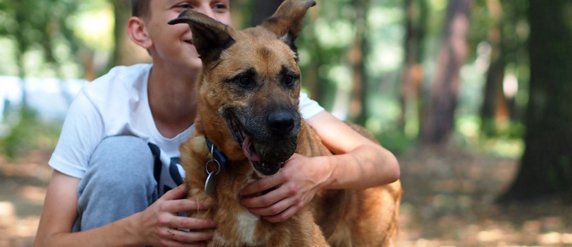 Amir: na przekór losowi (film)