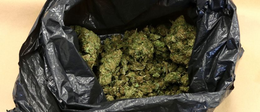 Miał pół kilograma marihuany. Grozi mu do 10 lat więzienia