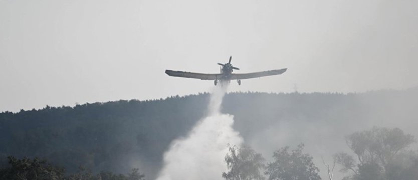 Sprawa pożarów na Międzyodrzu przekazana do ABW