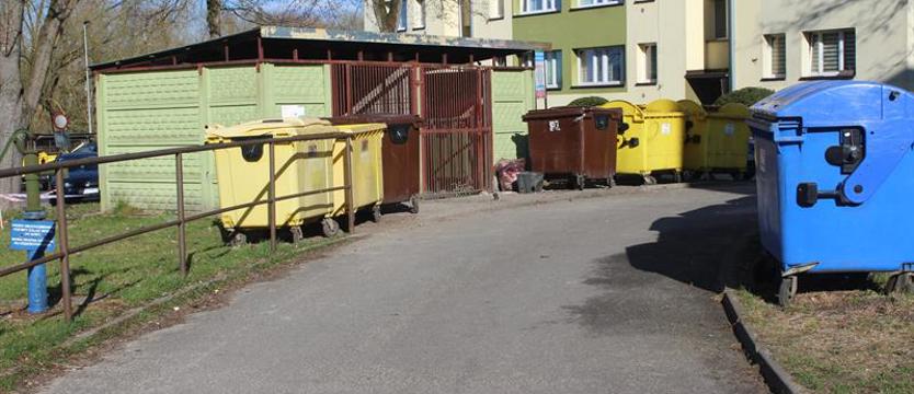 Interwencja „Kuriera Szczecińskiego”. Odpady i śmieci zostały usunięte