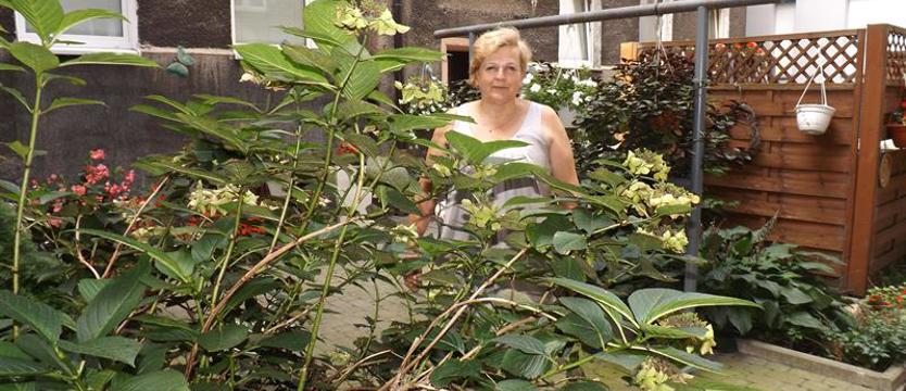 Cały Szczecin w Kwiatach. Było podwórko studnia, a jest ogród