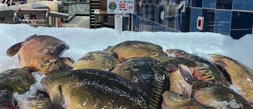 Jeszcze żywy karp? NIE okrucieństwu wobec zwierząt