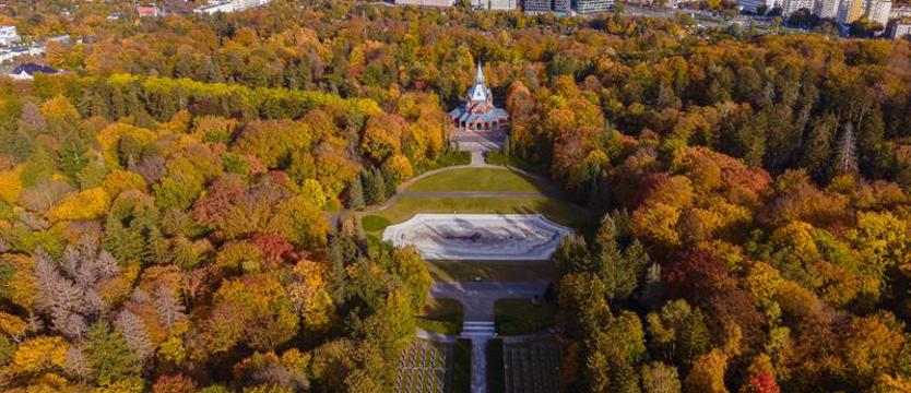 Szczególny pomnik historii. W przedsionku Listy Światowego Dziedzictwa UNESCO
