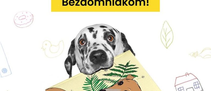 Sekretarz Szymborskiej poleca książkę szczecinianki. I namawia do pomocy zwierzakom w schroniskach