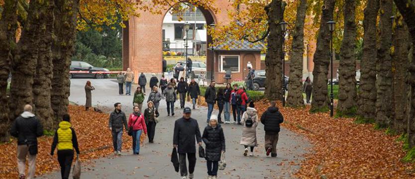 Przed Wszystkimi Świętymi zmieni się organizacja wjazdów na cmentarz