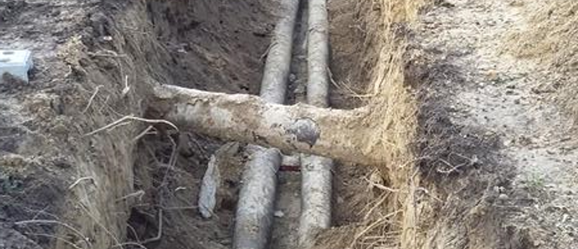 Kolejny ciepła kawałek