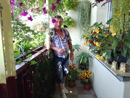 Najpięknieszy balkon i ogród ROD