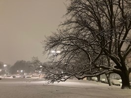 Szczecin przykryty śniegiem