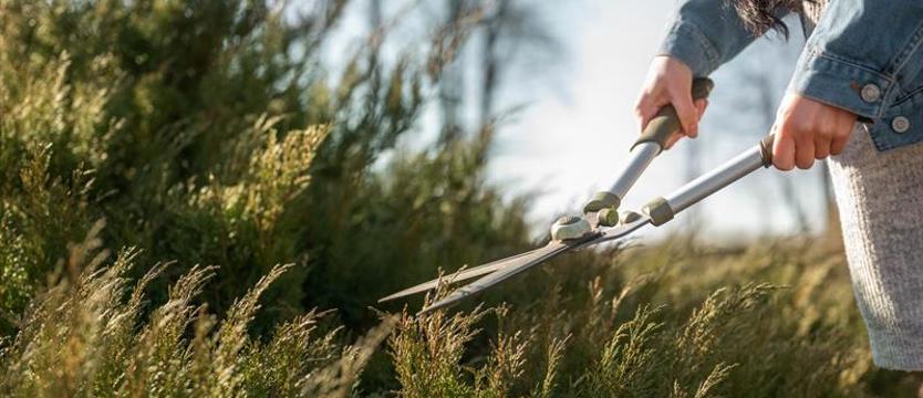 Cała zieleń jest... nasza. Powiat umówił się z Gminą