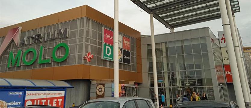 Dla schroniskowych psiaków i kociaków. Pomoc na cztery łapy