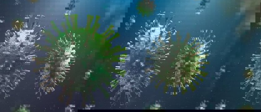 W środę odnotowano 664 nowe zakażenia wirusem SARS-CoV-2 w kraju. Zmarło 128 osób