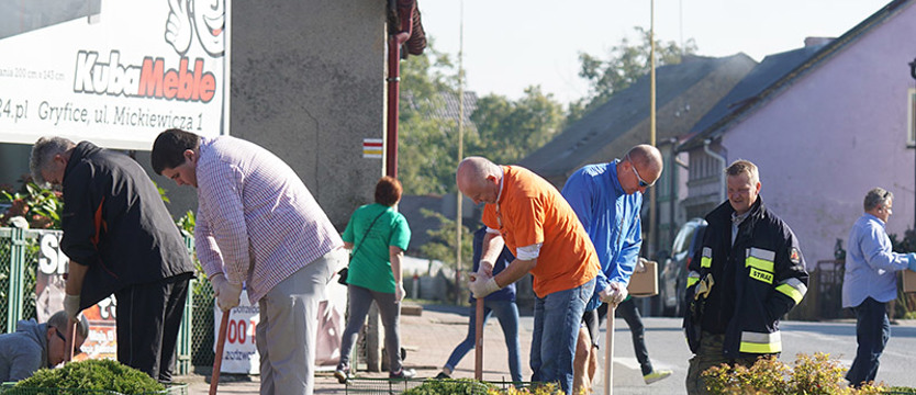 "Krokusowa rewolucja" w Golczewie (galeria)