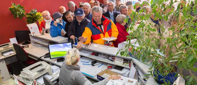 Nasza publikacja to hit!
