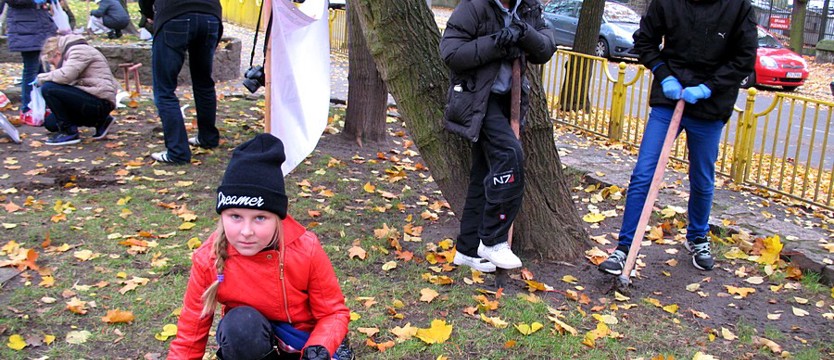 Krokusy: z frajdą dla dobra wspólnego