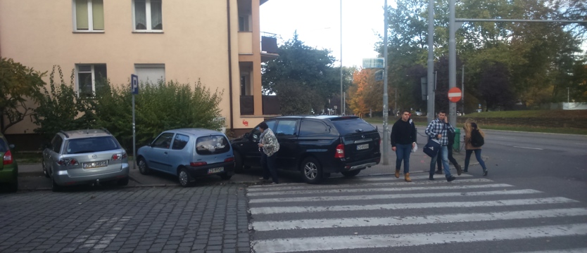 Mistrzyni parkowania