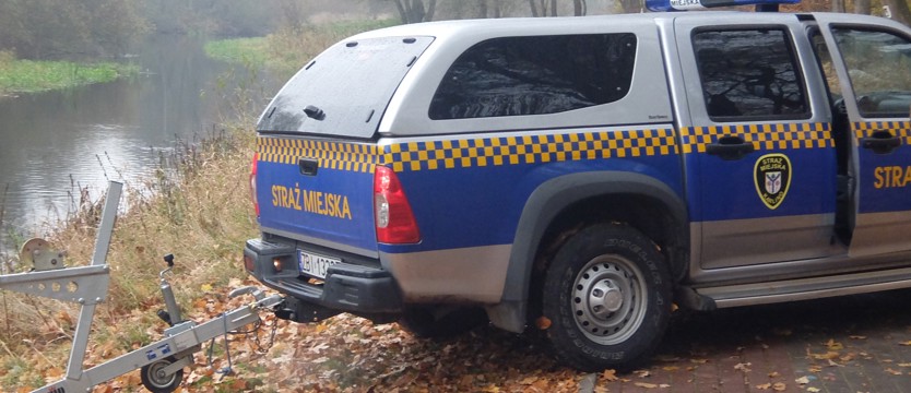 Kłusują i sprzedają do restauracji?