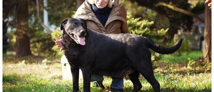 Bomba: niczym szóstka w lotka