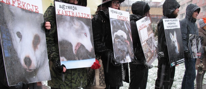 Cierpienie w opakowaniu próżności