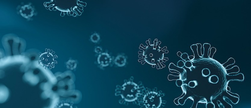 Resort zdrowia: 12 965 nowych zakażeń koronawirusem. Zmarło 31 osób z COVID-19