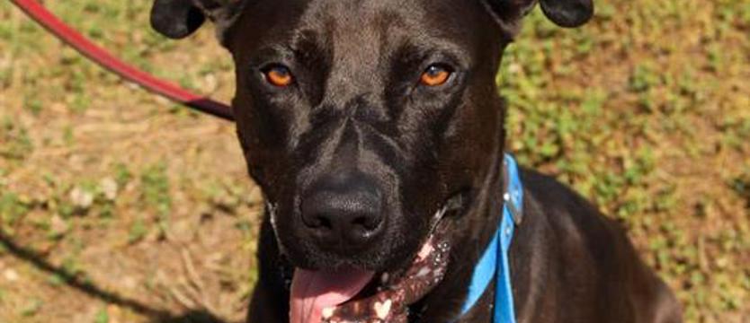 Vigo i lepszy świat