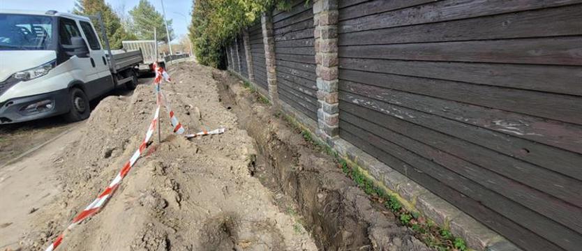 Wbrew (zielonym) standardom. Drzewa przegrywają z niewiedzą?