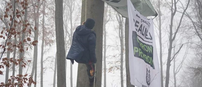 Protest w obronie drzew