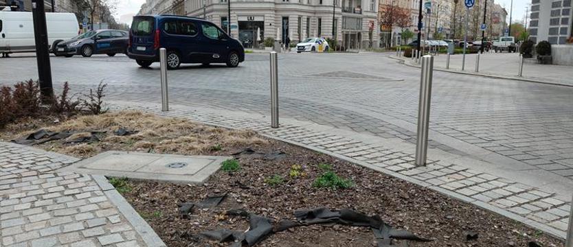 „Szmatokwiaty” reprezentacyjnej alei