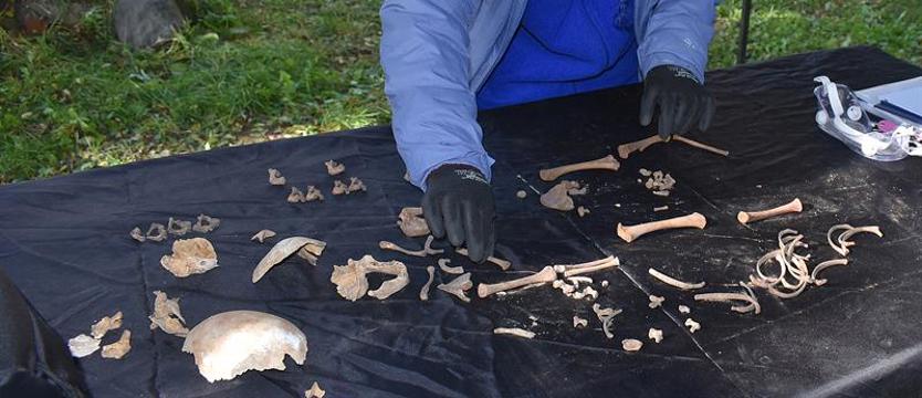 Odkryto 22 sarkofagi w kryptach pod Stargardem. Plądrowano je przez wiele lat