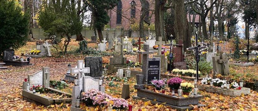 Porządkowanie cmentarza na Golęcinie. Denkmal Pomorze zachęca do udziału w akcji