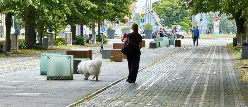Co dalej z Aleją Kwiatową? Szykuje się remont