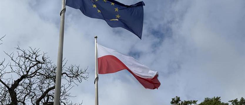 Co tam, panie, w polityce? Przegląd tygodnia, czyli polscy posłowie do Europarlamentu informują