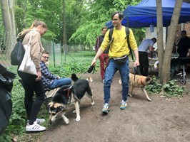 Uwaga szczecińskie zwierzoluby. Trwa „Majowy weekend w ogródku TOZ-u