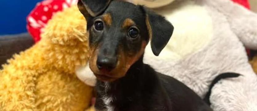 (Kilo)gramy słodyczy