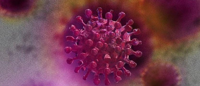 W poniedziałek w kraju 140 nowych zakażeń wirusem SARS-CoV-2. Zmarła 1 osoba