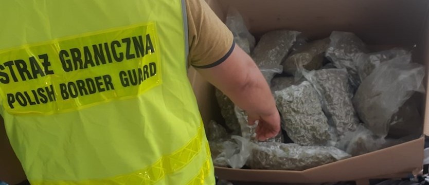 Ponad 70 kg narkotyków wartych niemal 3,2 mln zł wykrytych w Szczecinie