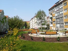 Koniec zielonych podwórek i przedogródków Szczecina?