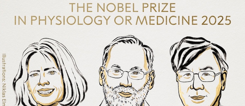 Przyznano Nagrodę Nobla z medycyny